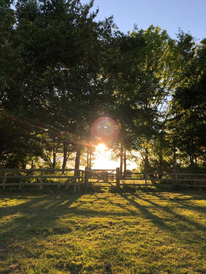 Hotel Nine Acres, Peaceful Brackley  Exterior foto